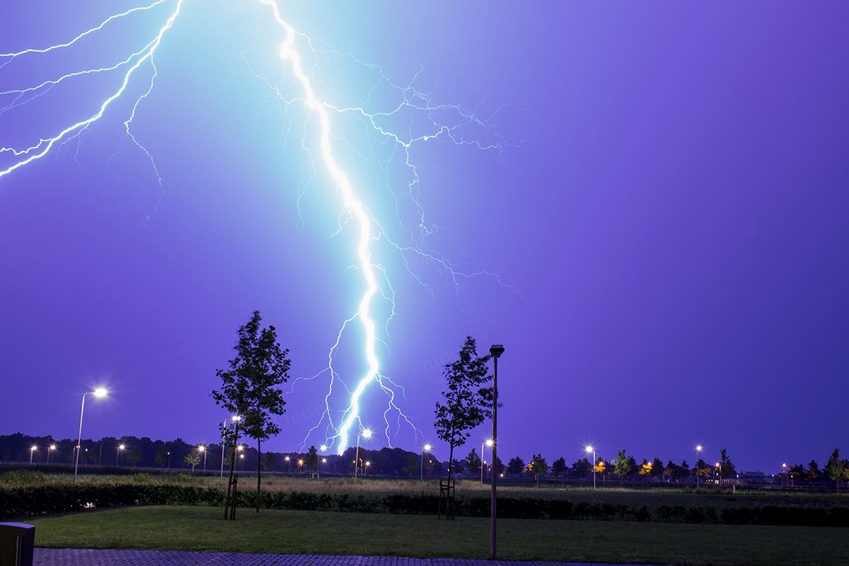 Lightning is a relatively rare terrestrial example of plasma, a highly energized state of matter consisting of free electrons and ions.