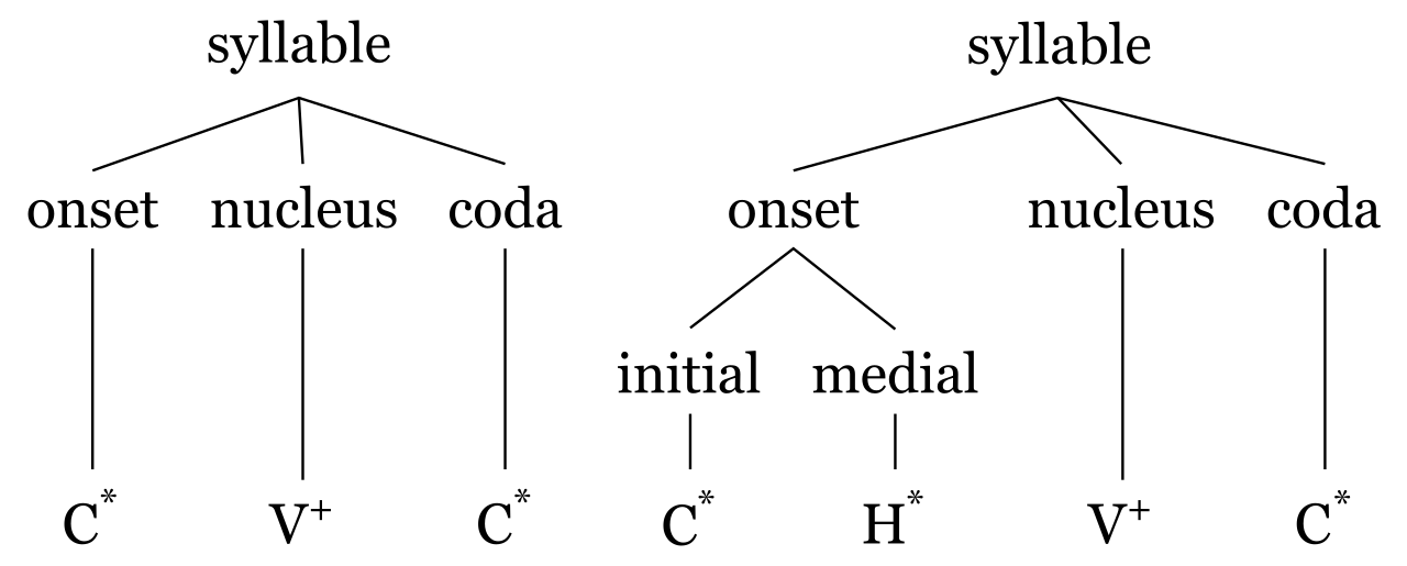 The hierarchical architecture of a syllable, illustrating how consonants form the onset and coda around an essential central vowel nucleus.