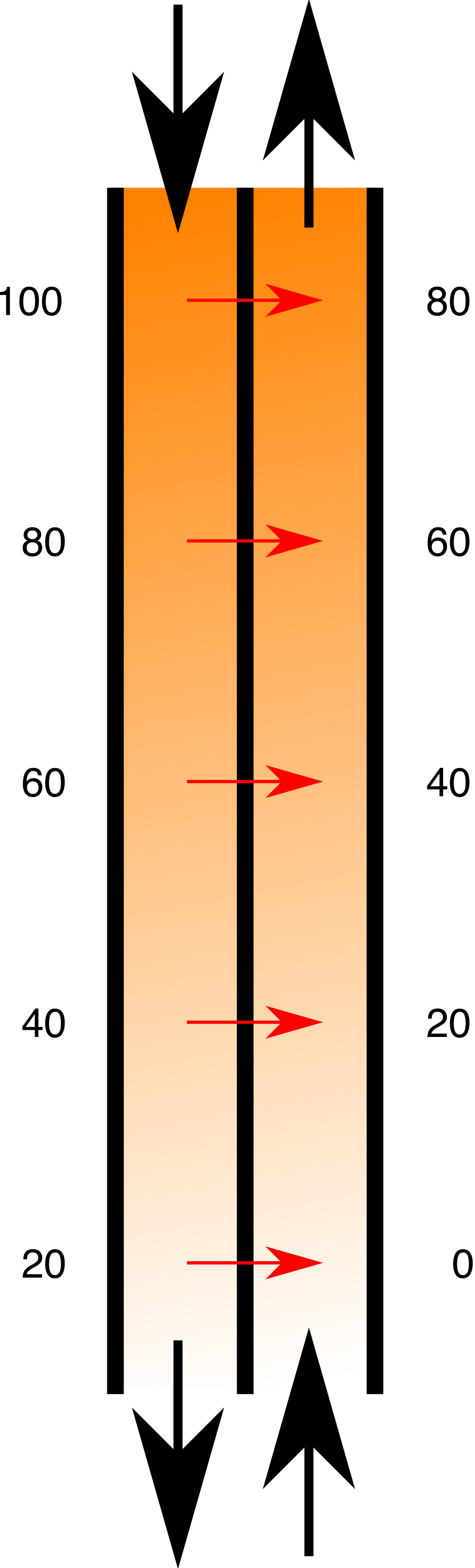 Countercurrent heat exchange allows animals to retain core body heat by transferring thermal energy from warm arterial blood to adjacent, cooler venous blood returning from the extremities.