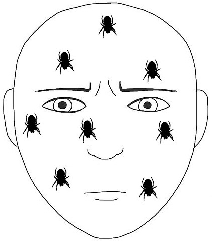 Formication is a specific and highly distressing tactile hallucination where the individual falsely perceives the physical sensation of insects or spiders crawling on or just beneath their skin.