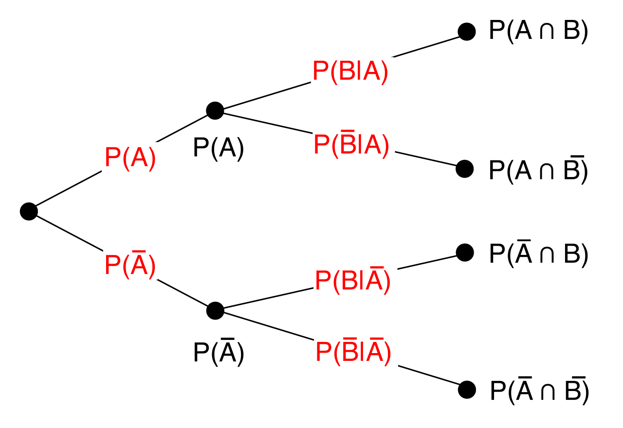 A probability tree diagram visually maps sequential events. Students can trace specific outcome paths by multiplying the conditional probabilities along each connected branch.