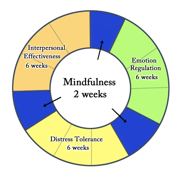The skill modules utilized in Dialectical Behavior Therapy (DBT), heavily focused on emotional regulation and distress tolerance to prevent impulsive behaviors.