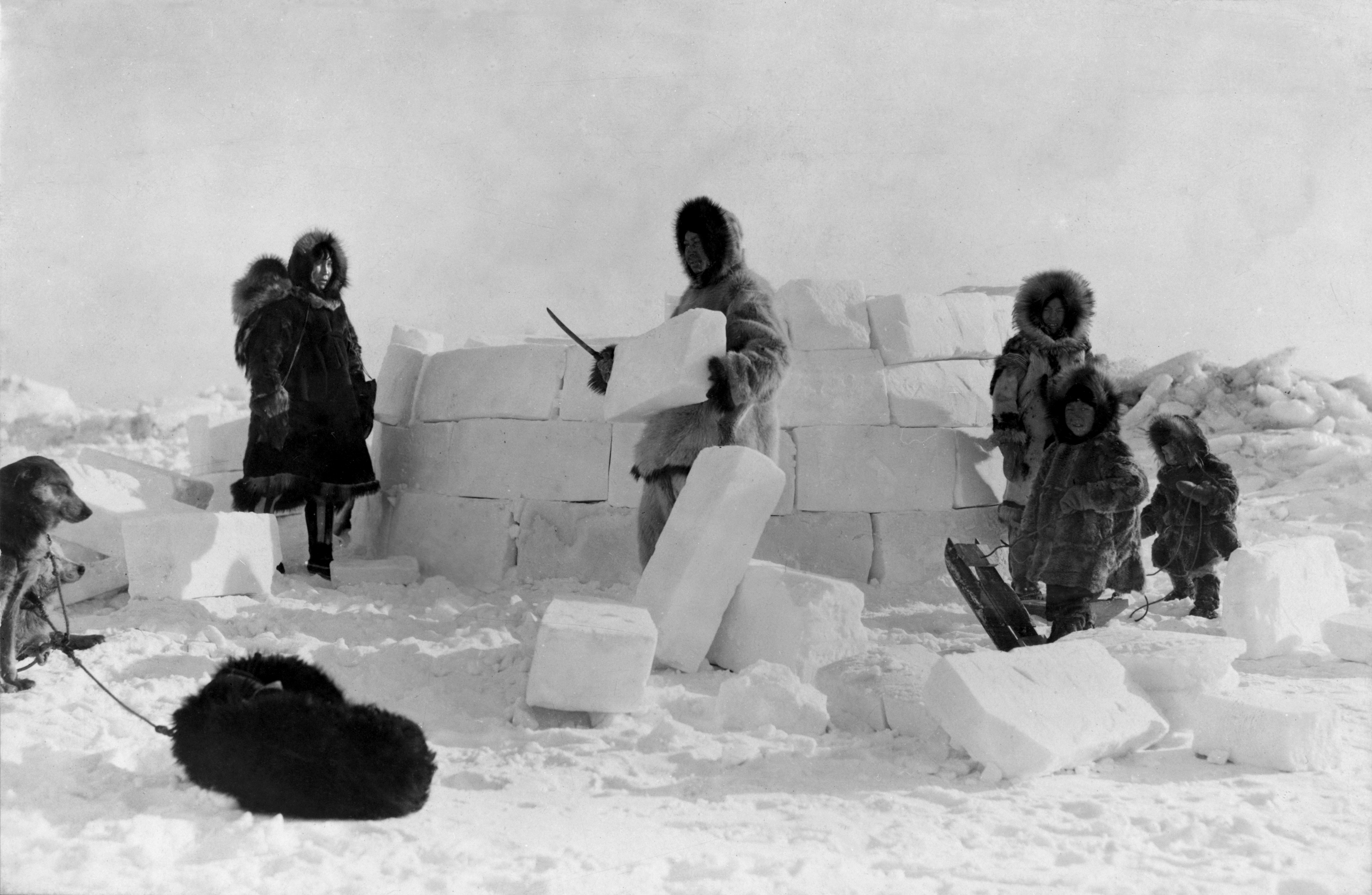Inuit builders constructing an igloo. This structure demonstrates an ingenious use of the Arctic environment's primary resource, relying on the trapped air inside snow blocks for effective thermal insulation.