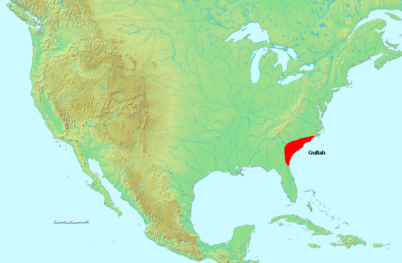 The Gullah language developed along the isolated coastal regions and Sea Islands of the American South, an environment that allowed its unique Creole grammar and African vocabulary to flourish.