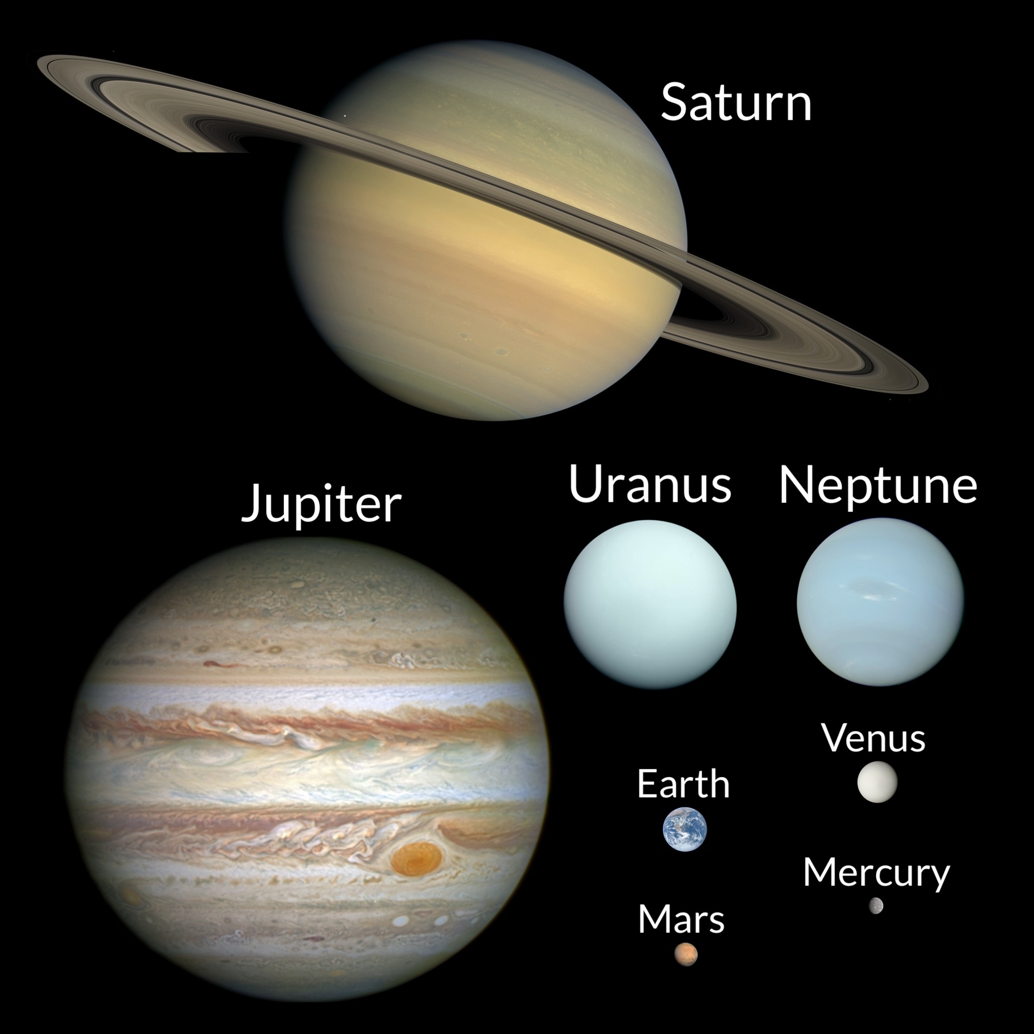 A size comparison demonstrating the massive scale of the outer gas giants compared to the small, rocky inner planets.