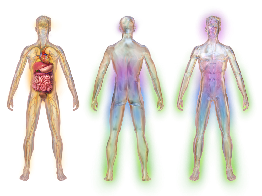 Diabetic neuropathy predominantly affects the distal extremities, severely diminishing the thermal and mechanical sensation required to detect dangerously hot bathwater or sharp floor hazards.