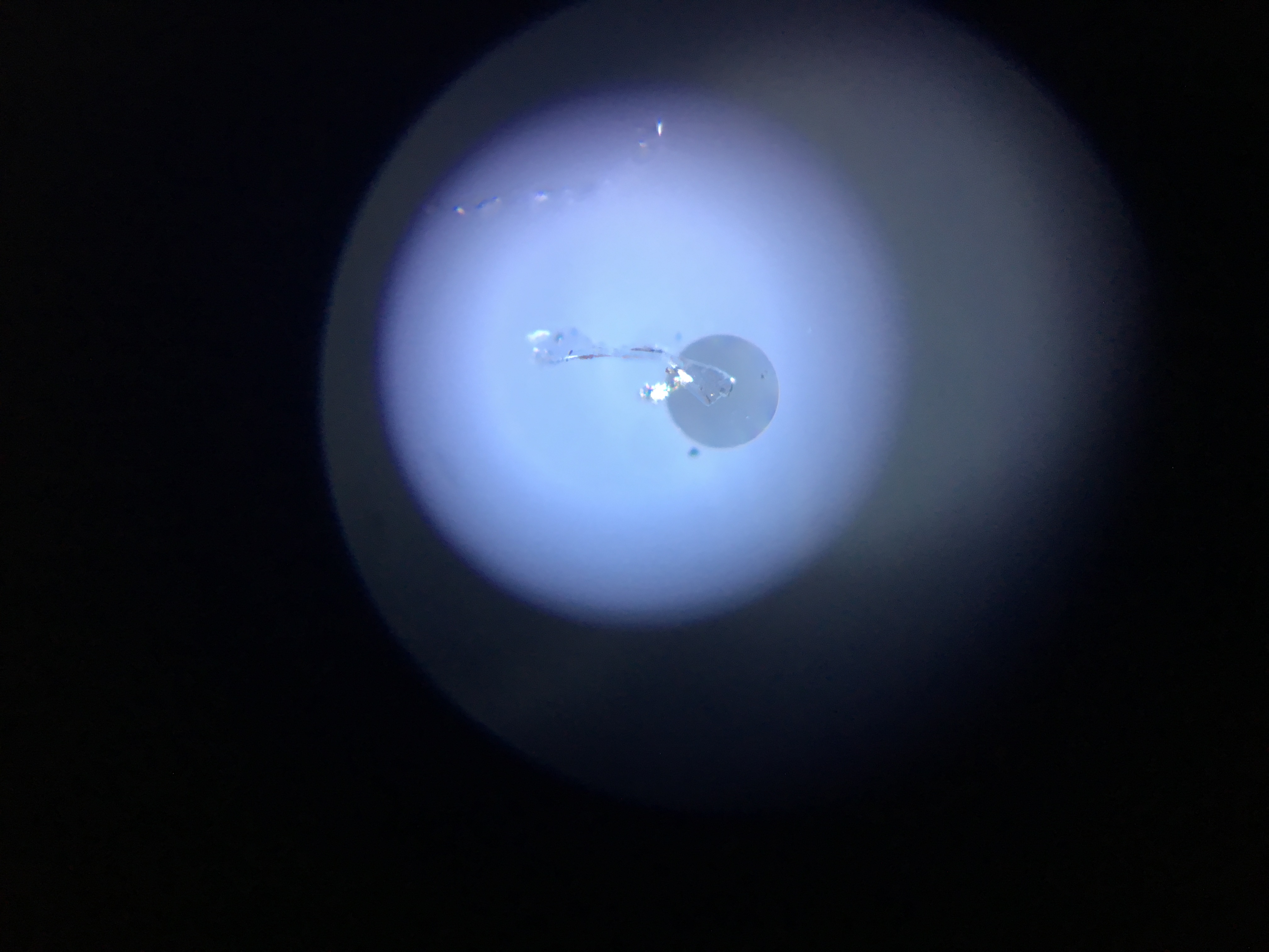 Microscopic cross-section of a single-mode optical fiber patch cord. The highly focused laser travels down the microscopic center core, which is surrounded by a 125 μm cladding.
