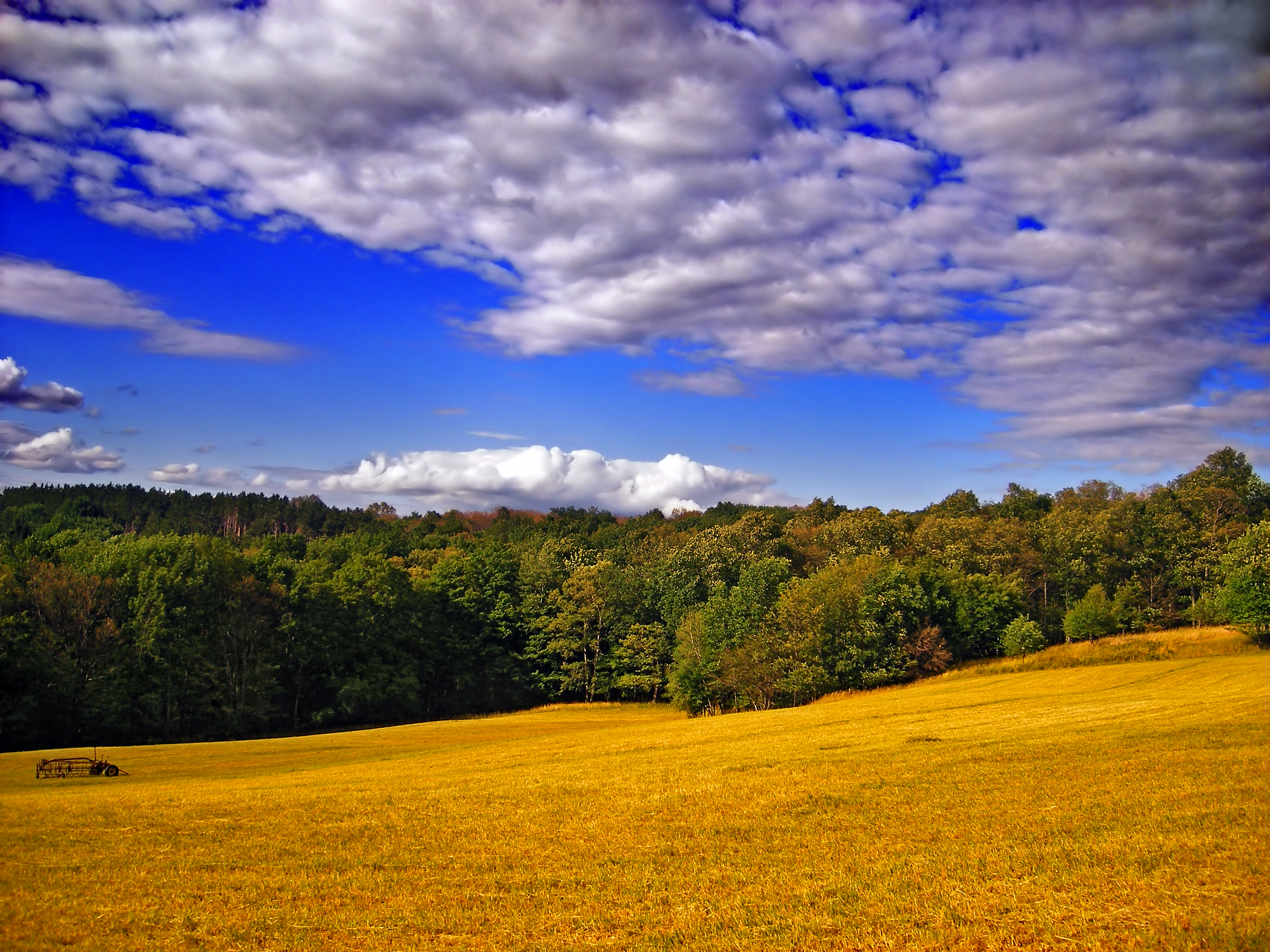 Habitat fragmentation creates abrupt ecological boundaries, increasing edge effects that alter microclimates and squeeze out species reliant on deep-core forest environments.