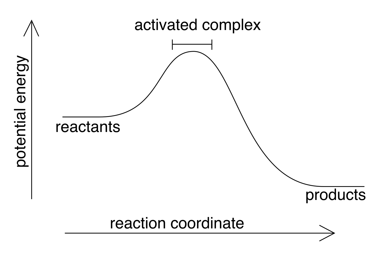 In an exothermic reaction like acid dilution, energy is rapidly released into the environment, emphasizing the need for water to act as a heat sink.