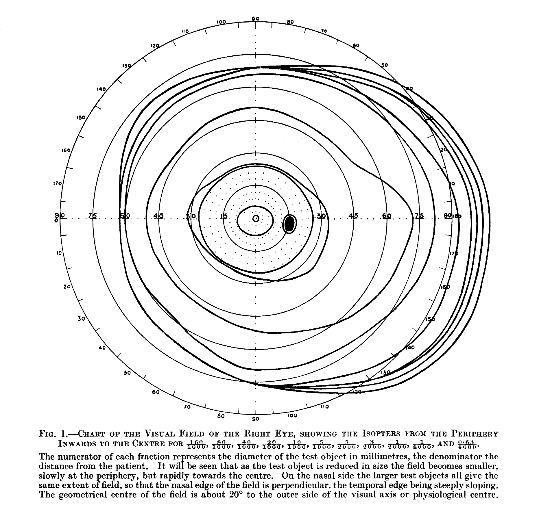A classical diagram of the human visual field. Directing the prospect to walk in front of you ensures they remain within your line of sight at all times, preventing them from exploiting your physical blind spots.