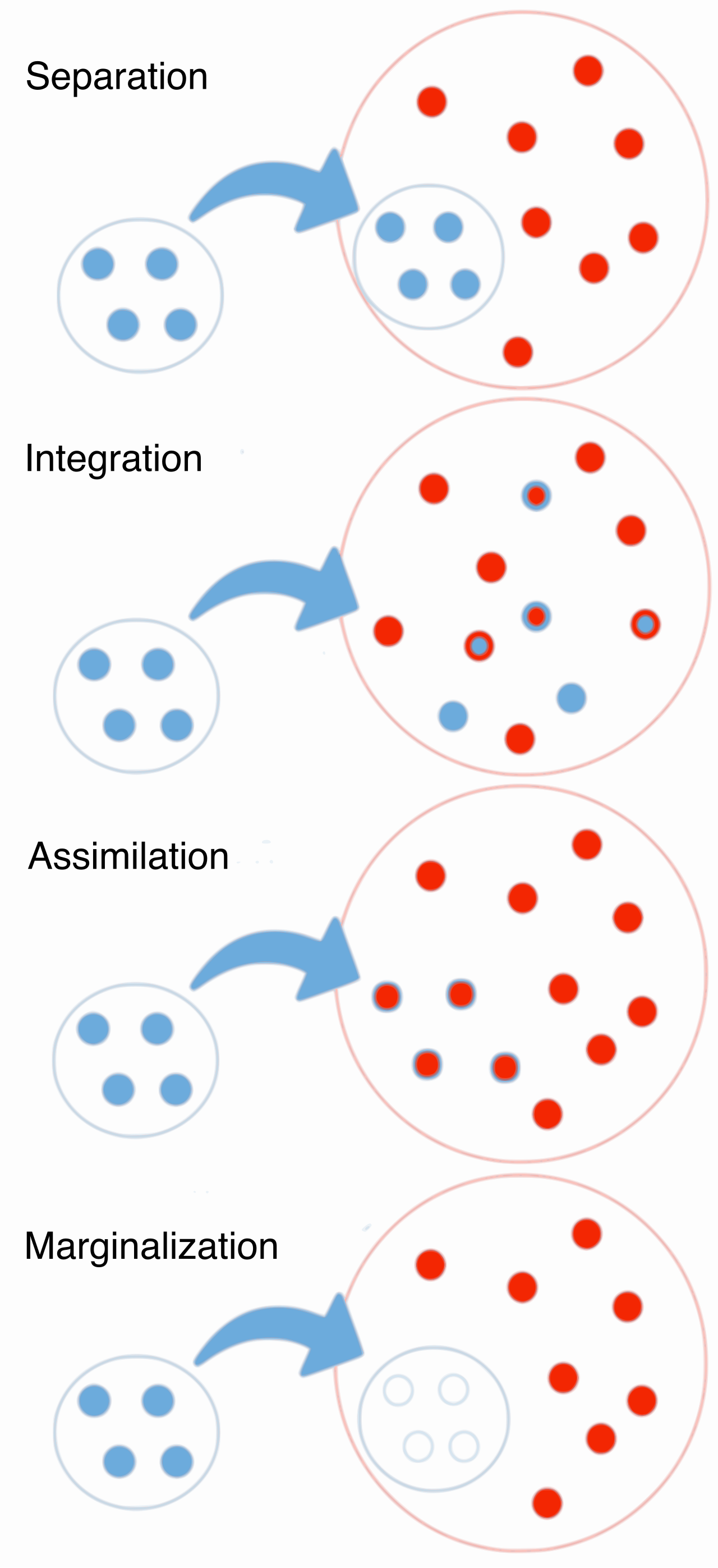 The four paradigms of acculturation illustrate the complex psychological strategies students employ when navigating the expectations of a new dominant culture.