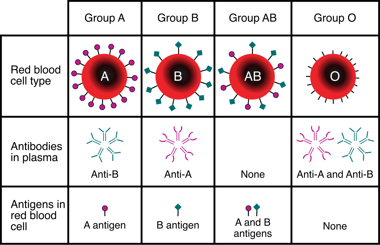 Blood type data, such as ABO antigens, is not inherently Protected Health Information (PHI) unless it is explicitly linked to a specific patient's identity in a medical database.