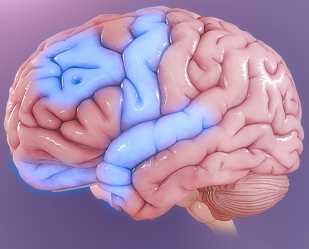 Abnormal activity in specific brain regions, such as the orbitofrontal cortex, drives the compulsive looping thoughts seen in OCD, which frequently co-occurs with Tourette syndrome.