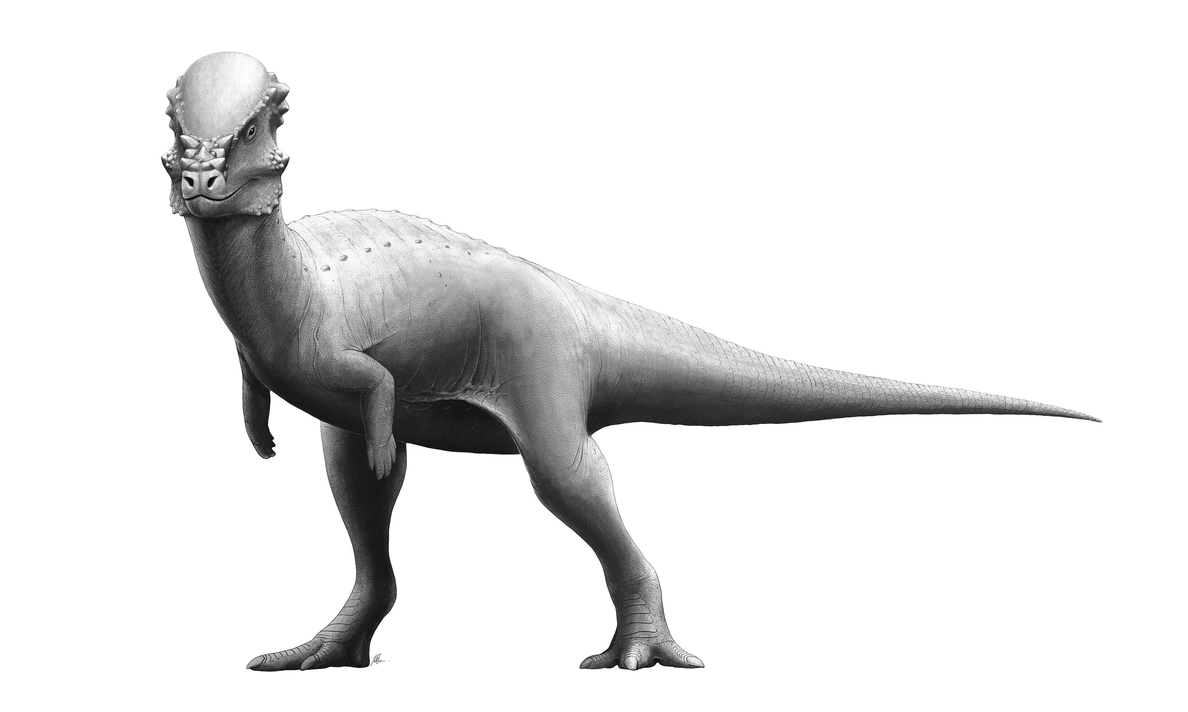 A student with high prior knowledge and intrinsic motivation for a subject can easily decode complex, polysyllabic words like Pachycephalosaurus that algorithms typically flag as too difficult.