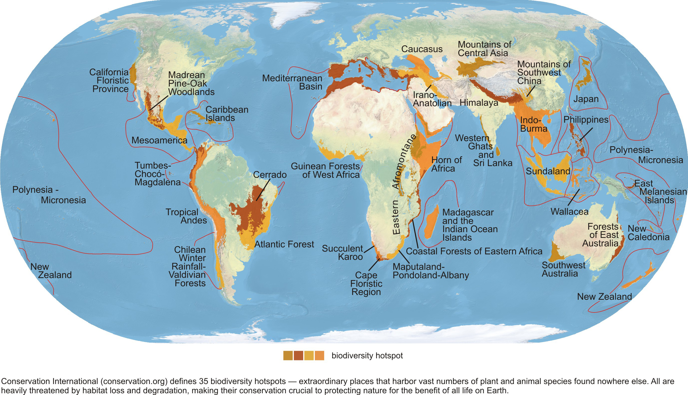 Global biodiversity hotspots: Biogeographic regions prioritized by conservationists due to their high concentrations of endemic species and extreme vulnerability to habitat destruction.