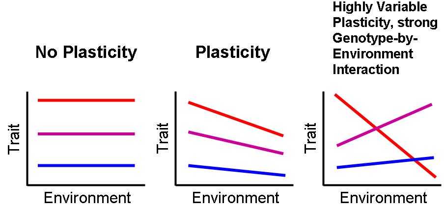 A scientific chart demonstrating phenotypic plasticity. Utilizing highly technical data and specialized vocabulary establishes in-group credibility but can severely alienate a non-expert audience.