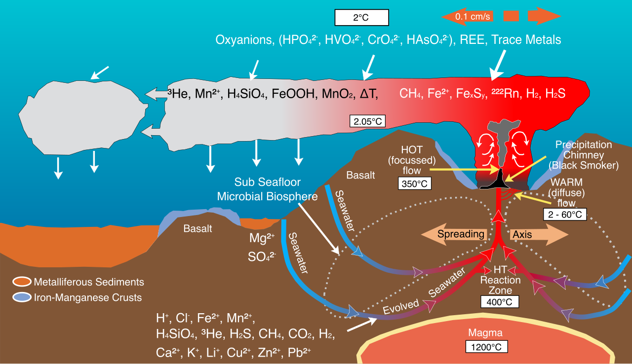 At deep-sea hydrothermal vents, chemosynthetic ecosystems thrive in total darkness. Bacteria oxidize inorganic compounds like hydrogen sulfide to generate the chemical energy required to fix carbon.