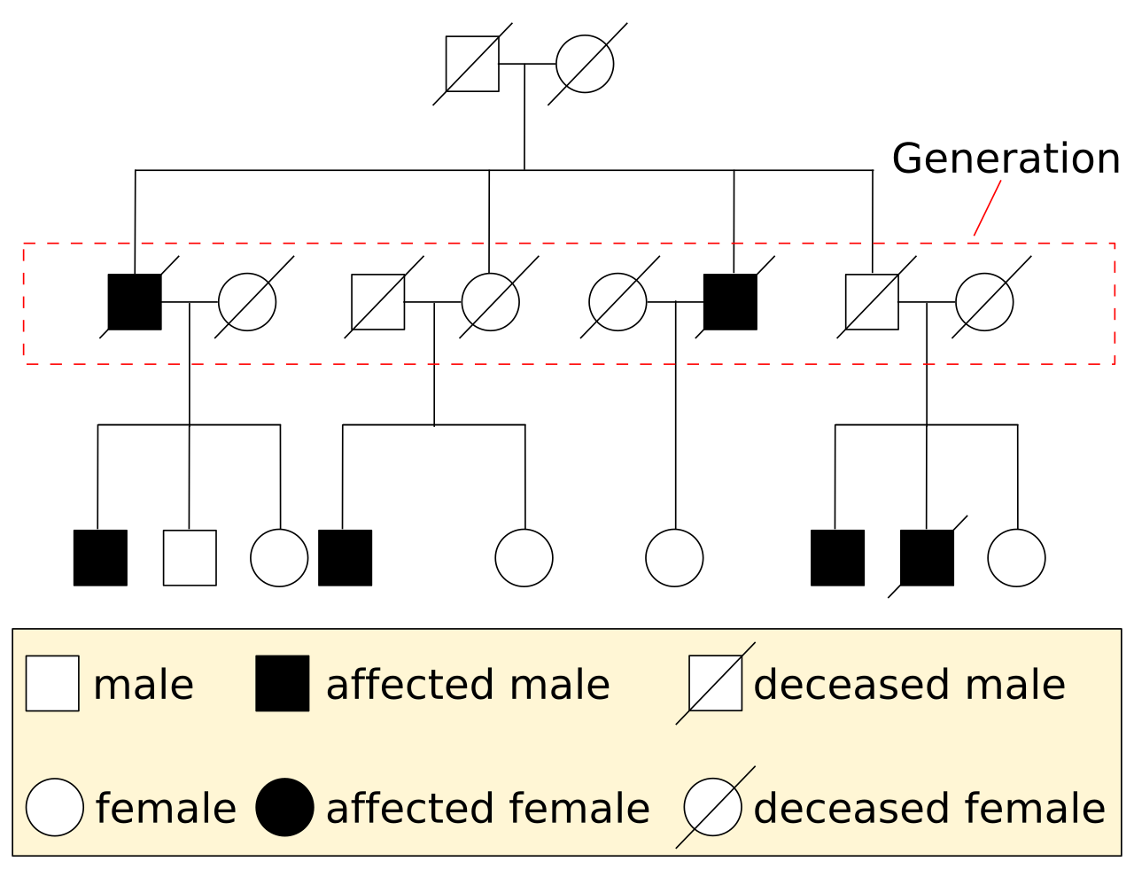 A genetic pedigree chart. By mapping the expression of a trait across multiple generations, geneticists can determine whether the underlying allele is dominant, recessive, or sex-linked.
