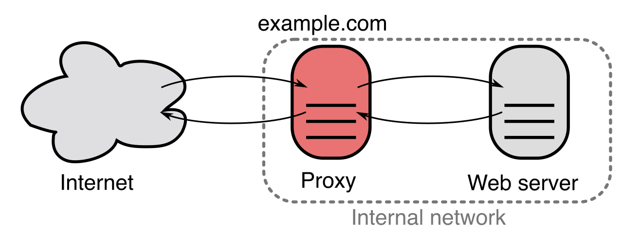 A reverse proxy receives incoming requests from the internet and securely routes them to internal backend servers, shielding the sensitive internal network structure from public view.