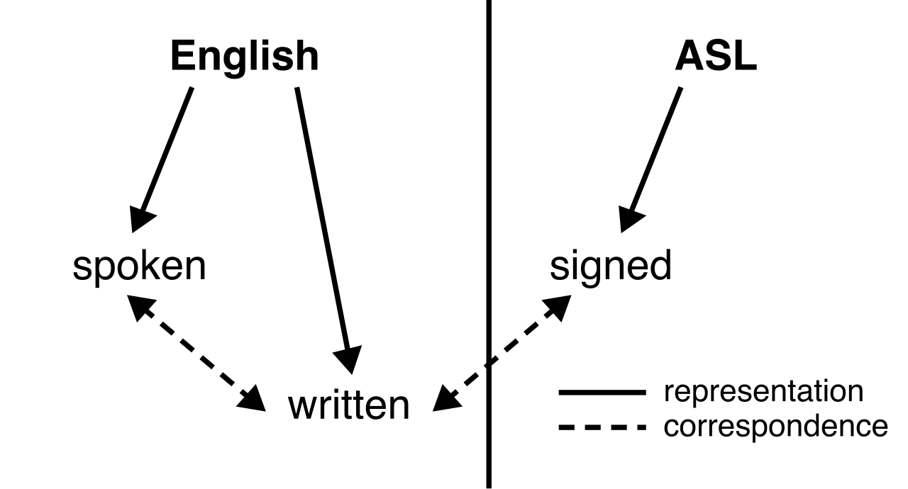Unlike spoken language, which develops naturally, writing is a distinct modality that requires formal cognitive rewiring to map auditory sounds to visual, space-bound symbols.