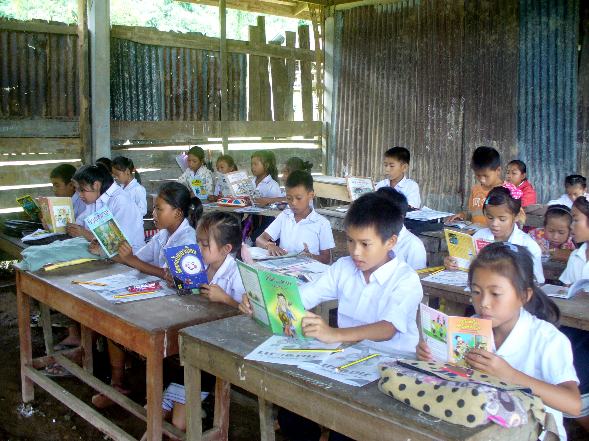 Extensive reading programs allow students to select highly accessible texts for enjoyment, lowering the affective filter and building vocabulary and reading fluency through high-volume exposure.