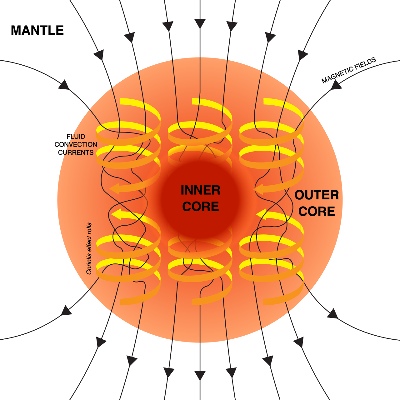 Convection currents within the molten outer core generate a geodynamo, producing Earth's protective magnetic field.