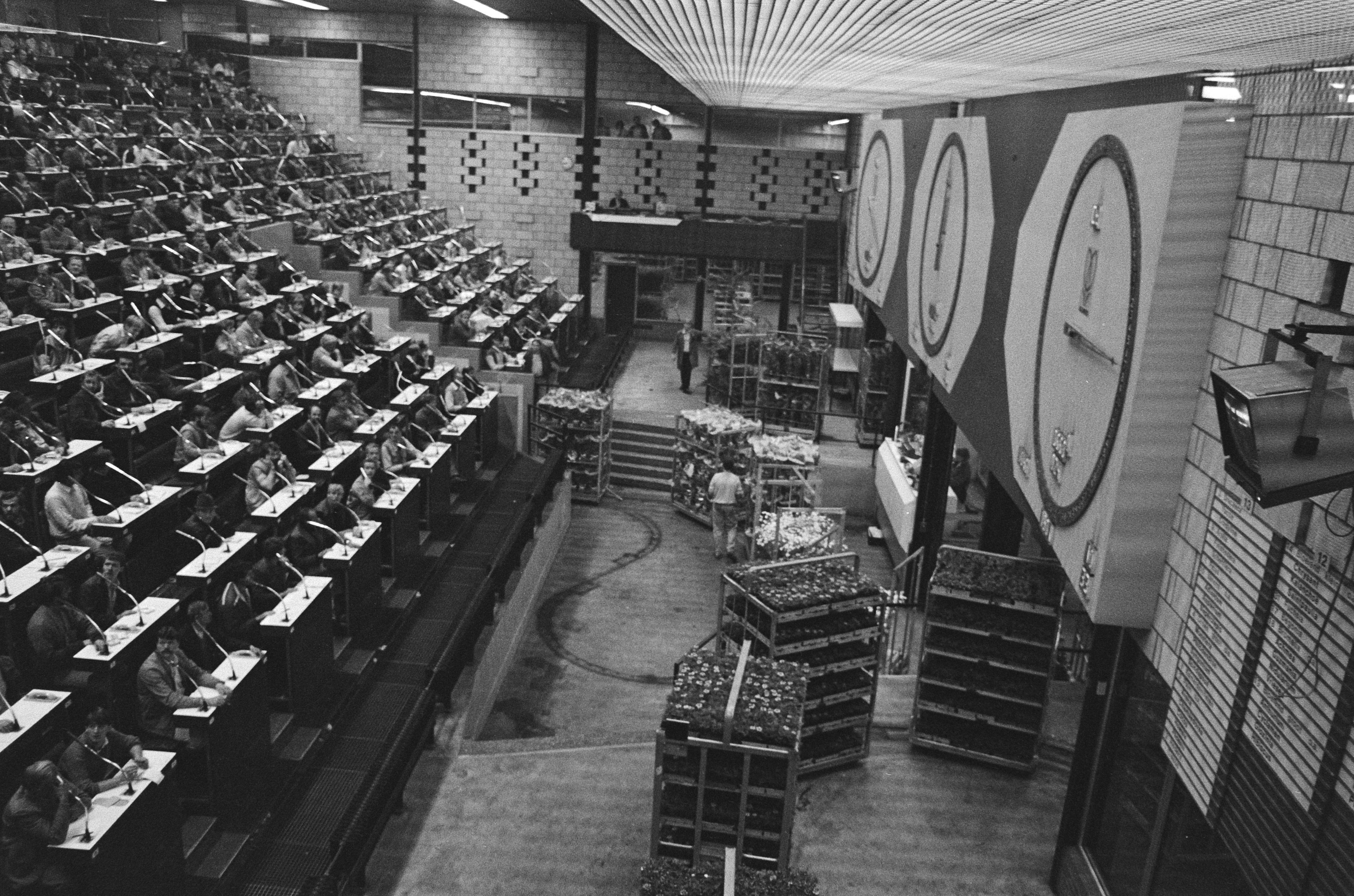 Auction Rate Securities (ARS) use a Dutch auction system—originally popularized by physical commodity markets like this flower auction in Aalsmeer—where the interest rate is set at the lowest clearing bid that successfully sells all available securities.
