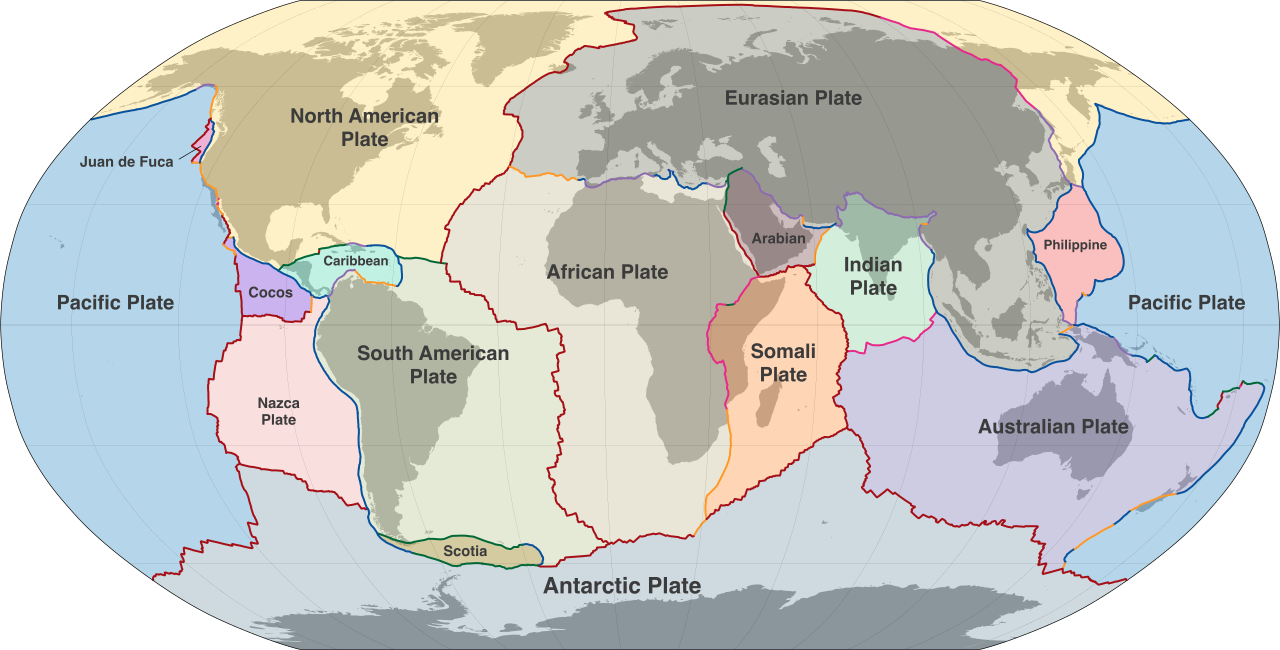 A map of Earth's tectonic plates. Notice how individual plates, such as the North American Plate, encompass both continental landmasses and expansive oceanic floors.
