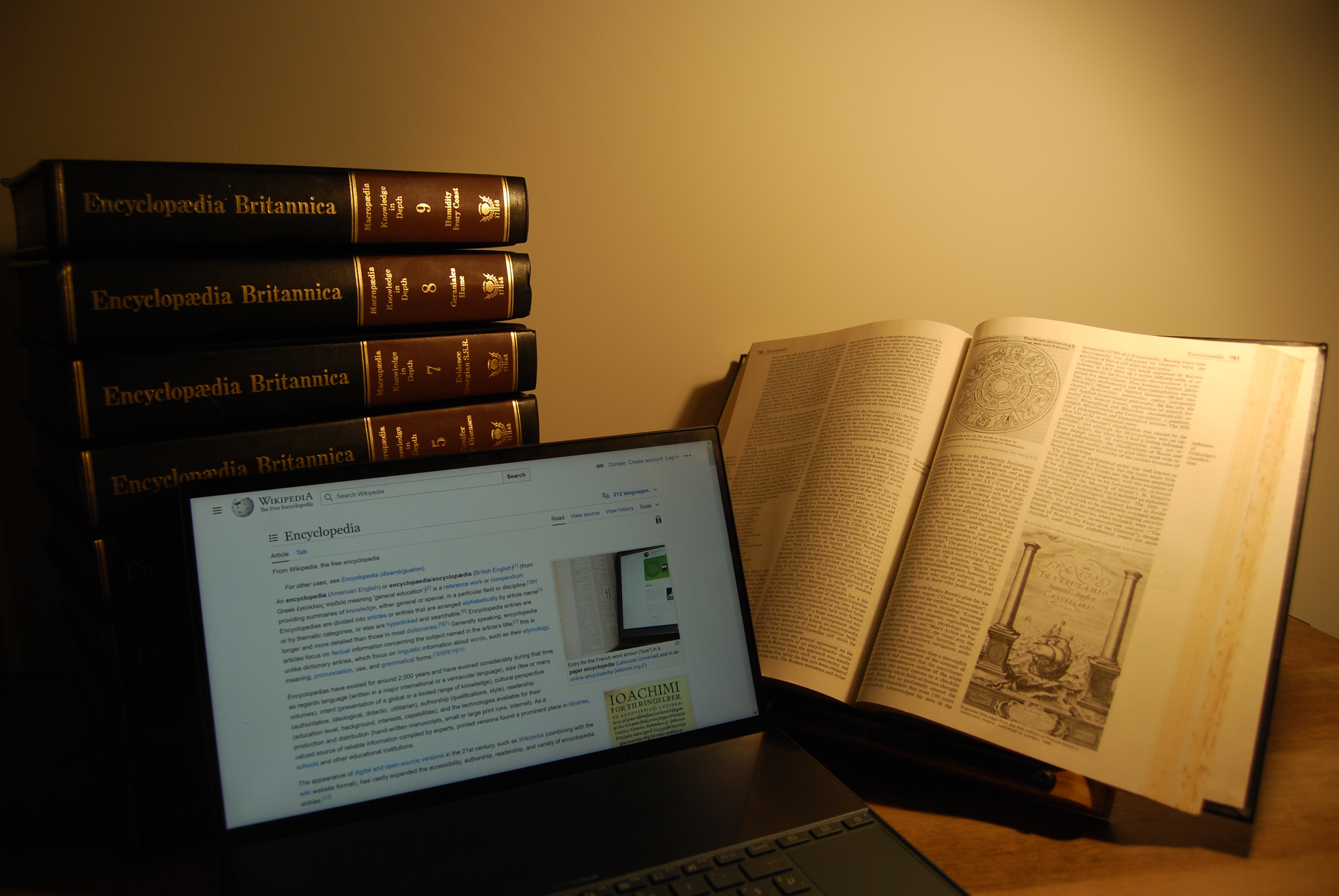 A physical reference library demonstrates the limitations of a single data source: just as an encyclopedia can only be read by one person at a time, a single database instance creates a physical bottleneck when overwhelmed by concurrent read requests.