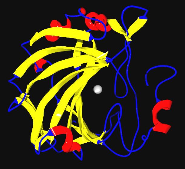 A ribbon diagram of the enzyme carbonic anhydrase. A central zinc ion (visible in the active site) acts as an essential inorganic cofactor to enable catalysis.