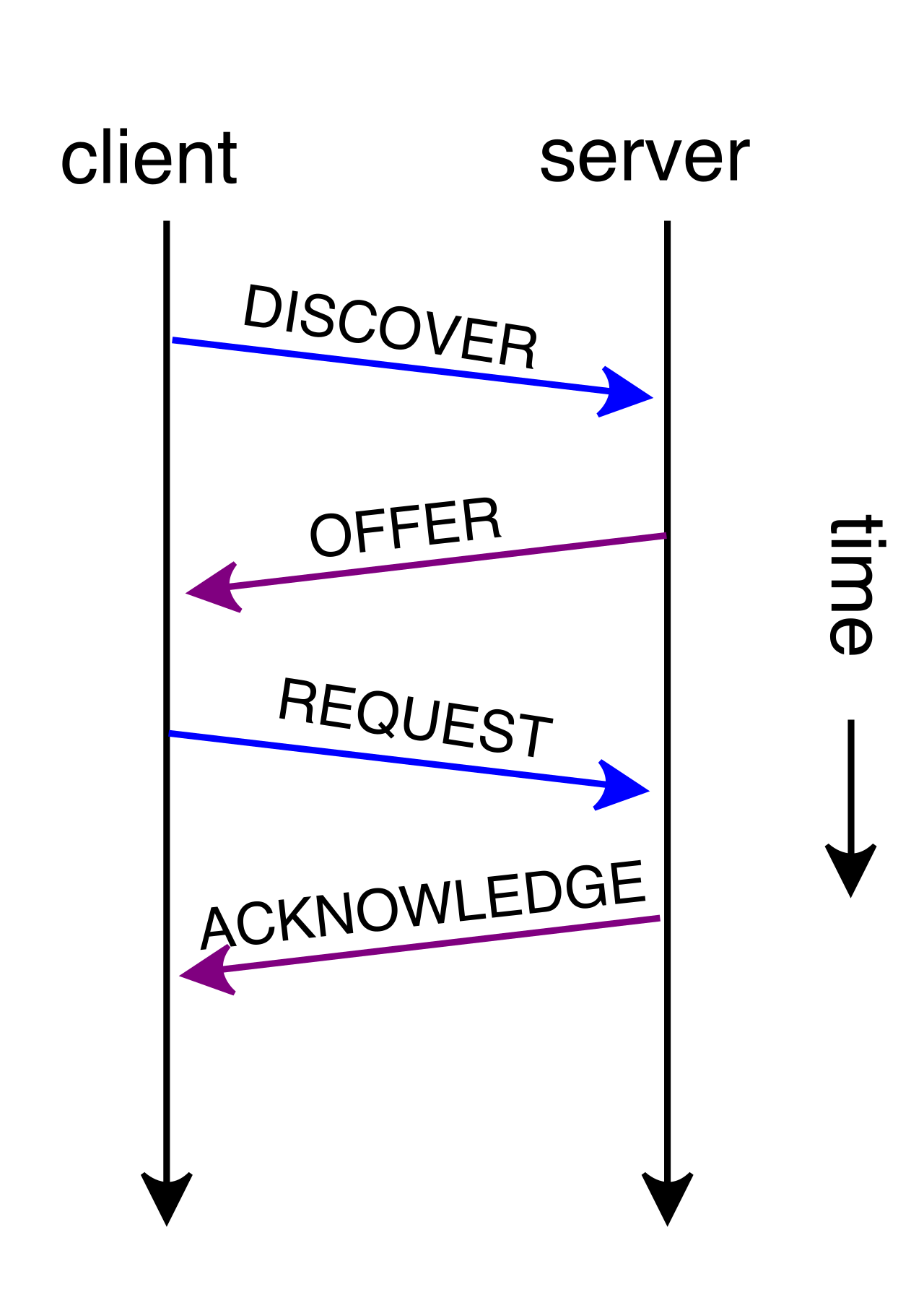Monitoring ambient network chatter, such as the standard four-step DHCP session shown here, passively reveals active devices requesting IP configurations on the subnet.
