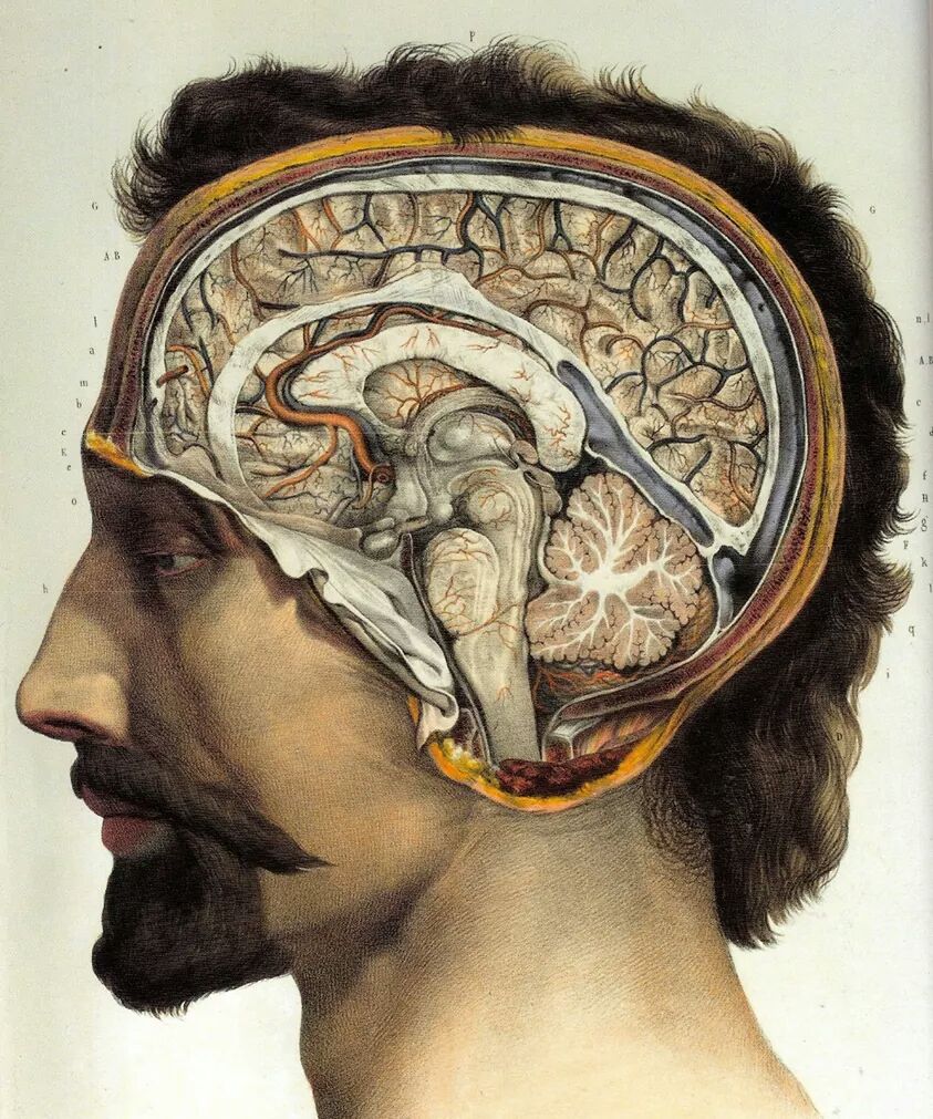The cognitive demands of writing require the human brain to translate abstract, multidimensional thoughts into a linear sequence of symbols.