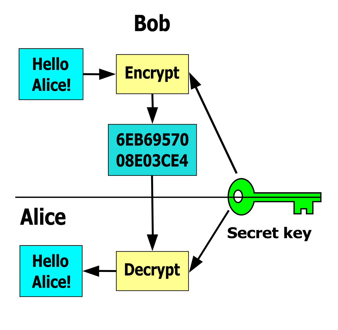 Symmetric encryption utilizes a single shared key for both the encryption of plaintext and the decryption of ciphertext.