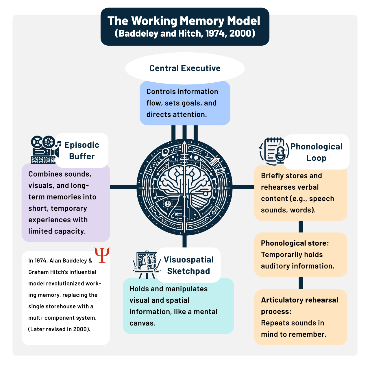 Baddeley's model of working memory conceptualizes the brain's temporary mental workspace, highlighting the limited capacity learners have to hold and manipulate simultaneous auditory and visual data.