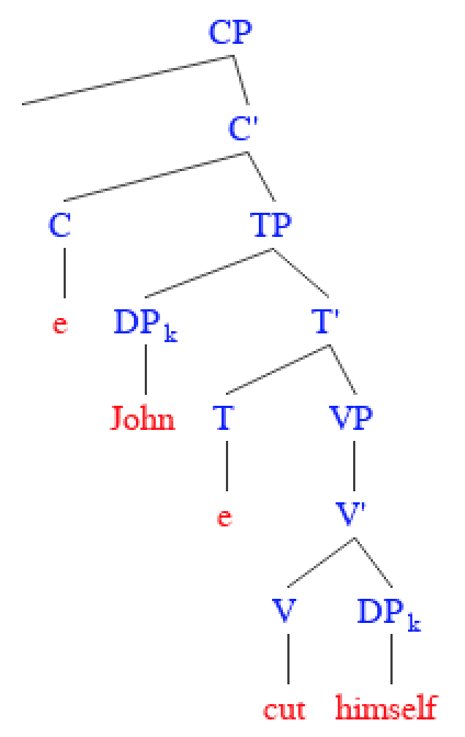 In a syntactic tree representing a reflexive pronoun, the pronoun ("himself") structurally mirrors and is inextricably linked back to the antecedent subject ("John") within the same clause.
