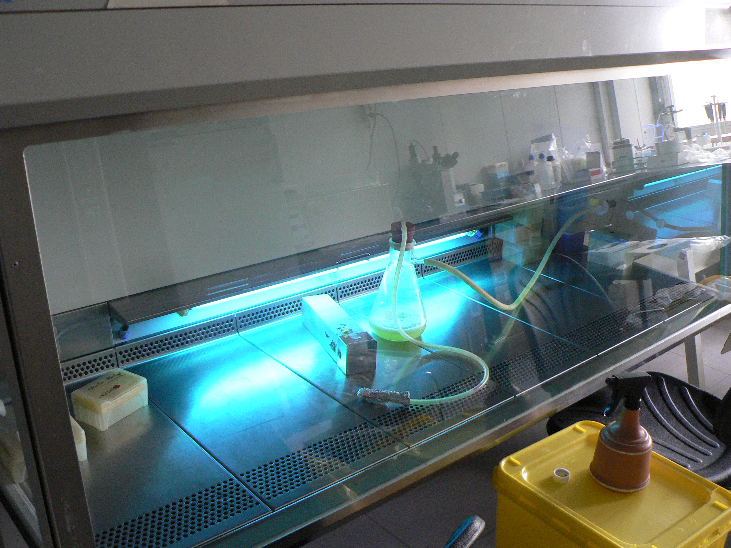 When summarizing a broad passage about hospital sterilization technologies, localized and highly specific examples—such as a single clinic's UV light array—are considered extraneous details and must be omitted.