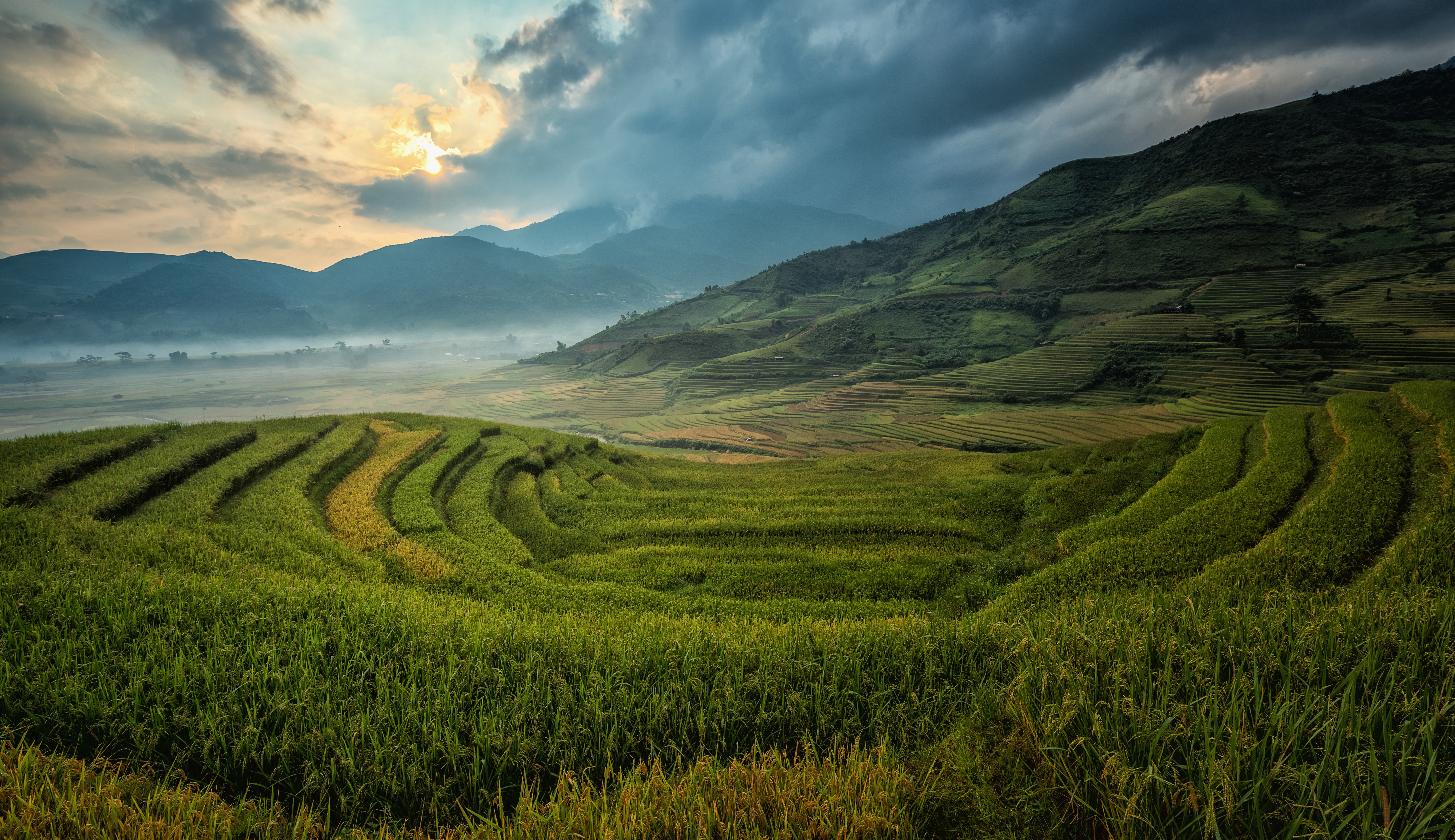Terraced rice agriculture in Asia is a prime example of intensive subsistence farming, maximizing yield from small, difficult plots of land through heavy human labor.