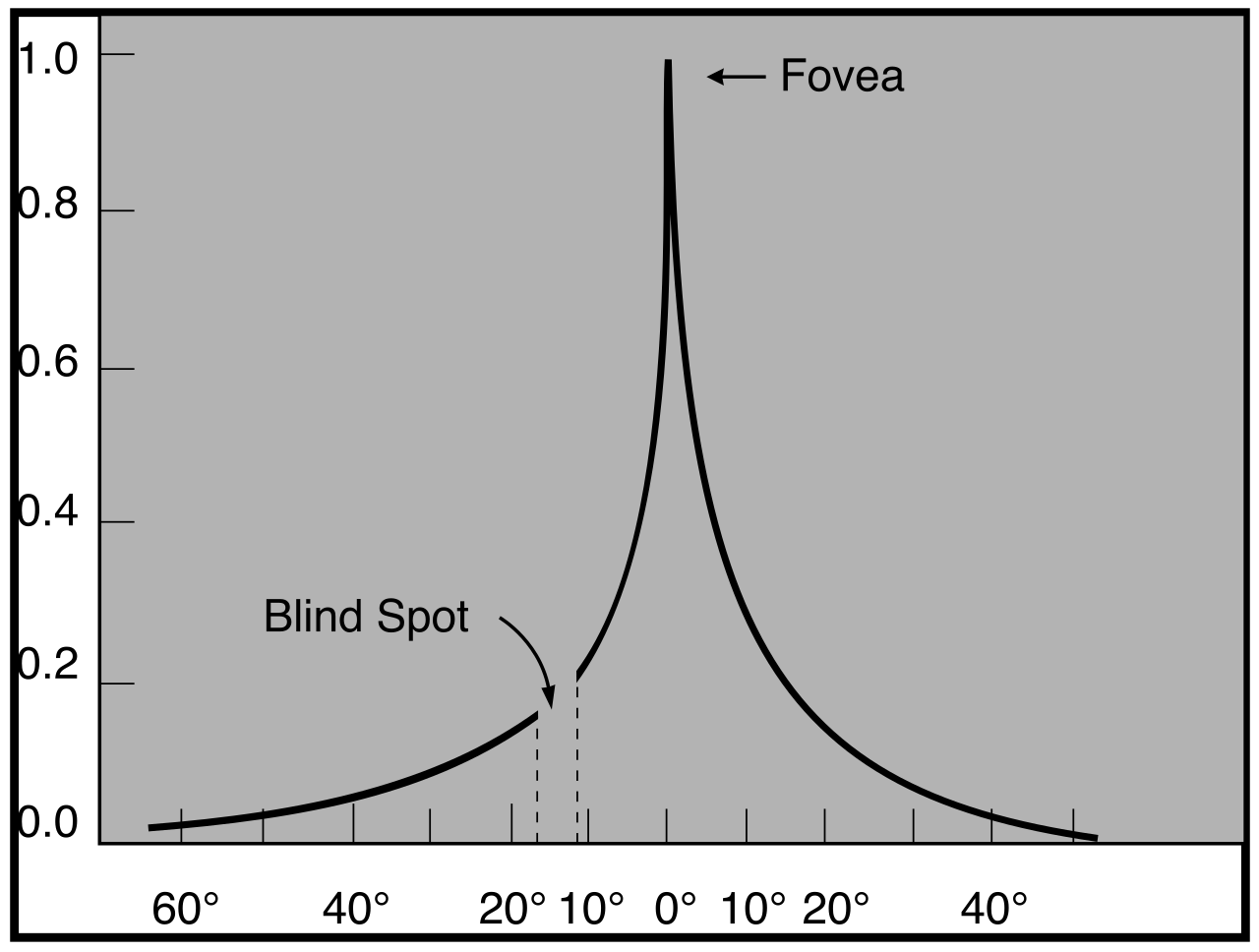 A chart mapping the relative visual acuity of the human eye. The legal category of visual impairment encompasses a broad spectrum of partial sight that adversely impacts education, even with corrective lenses.