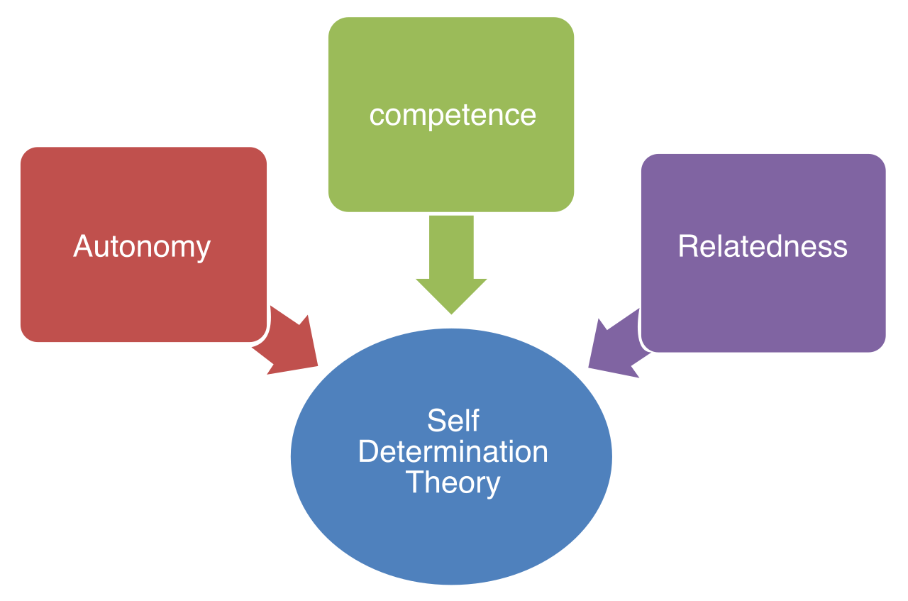 Self-Determination Theory posits that intrinsic motivation is sustained only when the three universal psychological needs of autonomy, competence, and relatedness are fulfilled.