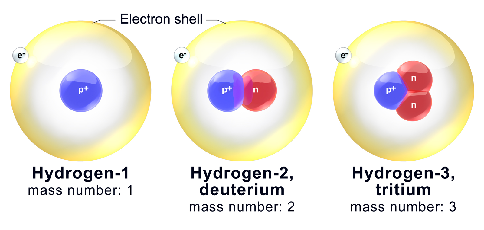 The three naturally-occurring isotopes of hydrogen: protium (zero neutrons), deuterium (one neutron), and tritium (two neutrons). All three share the same atomic number but have different mass numbers.