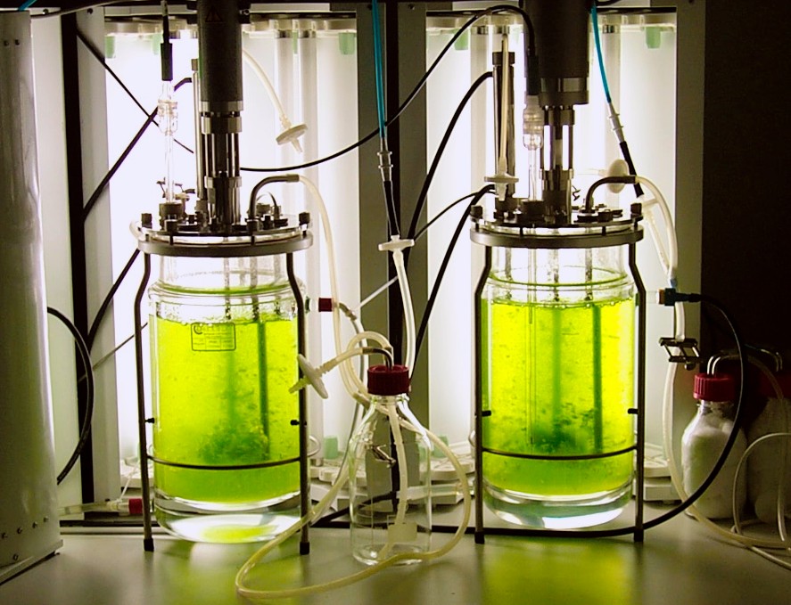 A physical prototype of a moss photobioreactor. Testing these designs under real-world conditions generates empirical data used to identify failures and optimize future iterations.