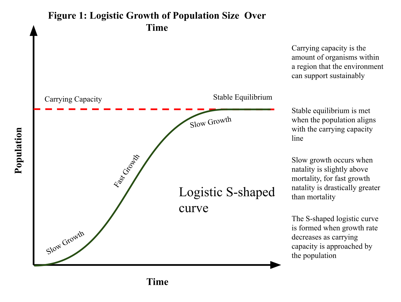 A logistic growth curve models how a population initially expands rapidly before leveling off as it hits the carrying capacity of its environment due to resource limitations.