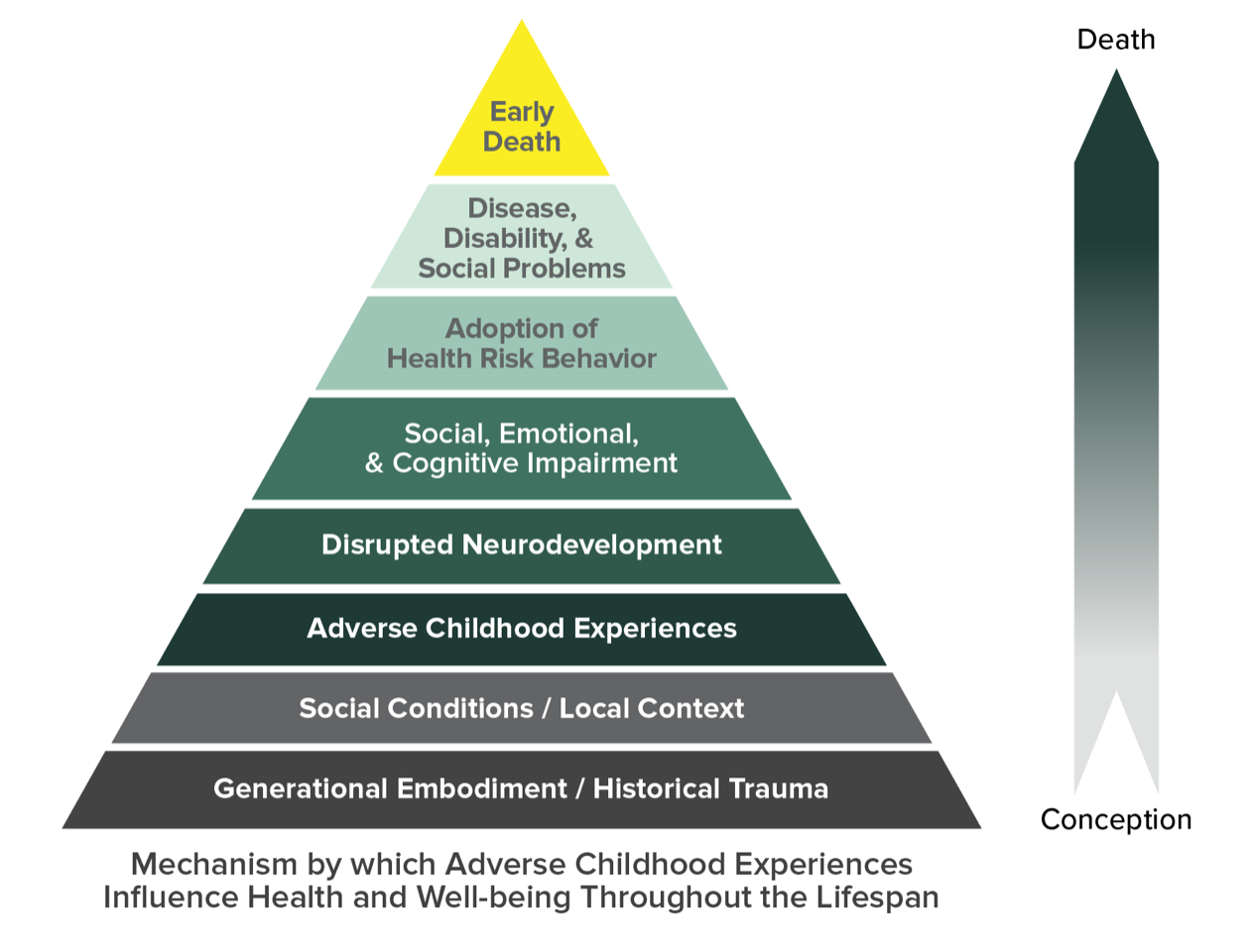 The ACE Pyramid illustrates how adverse childhood experiences heavily influence early neurological development, leading to compounded social, emotional, and cognitive impairments.