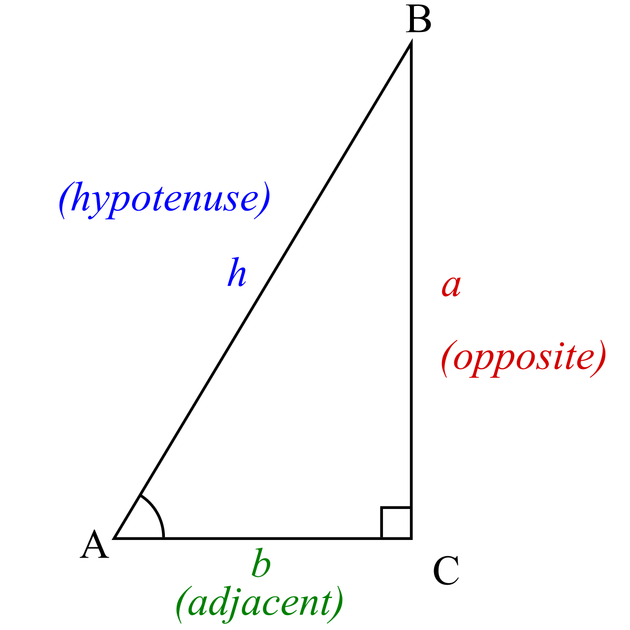 The fundamental trigonometric ratios are defined by the lengths of the opposite side, adjacent side, and hypotenuse relative to a specific acute angle in a right triangle.