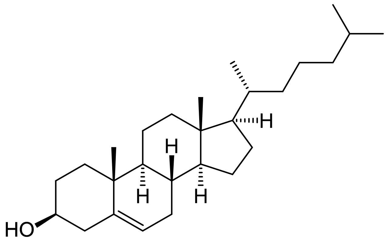 The chemical structure of cholesterol, characterized by its core of four fused carbon rings. It embeds itself within cell membranes to act as a crucial structural buffer against temperature fluctuations.