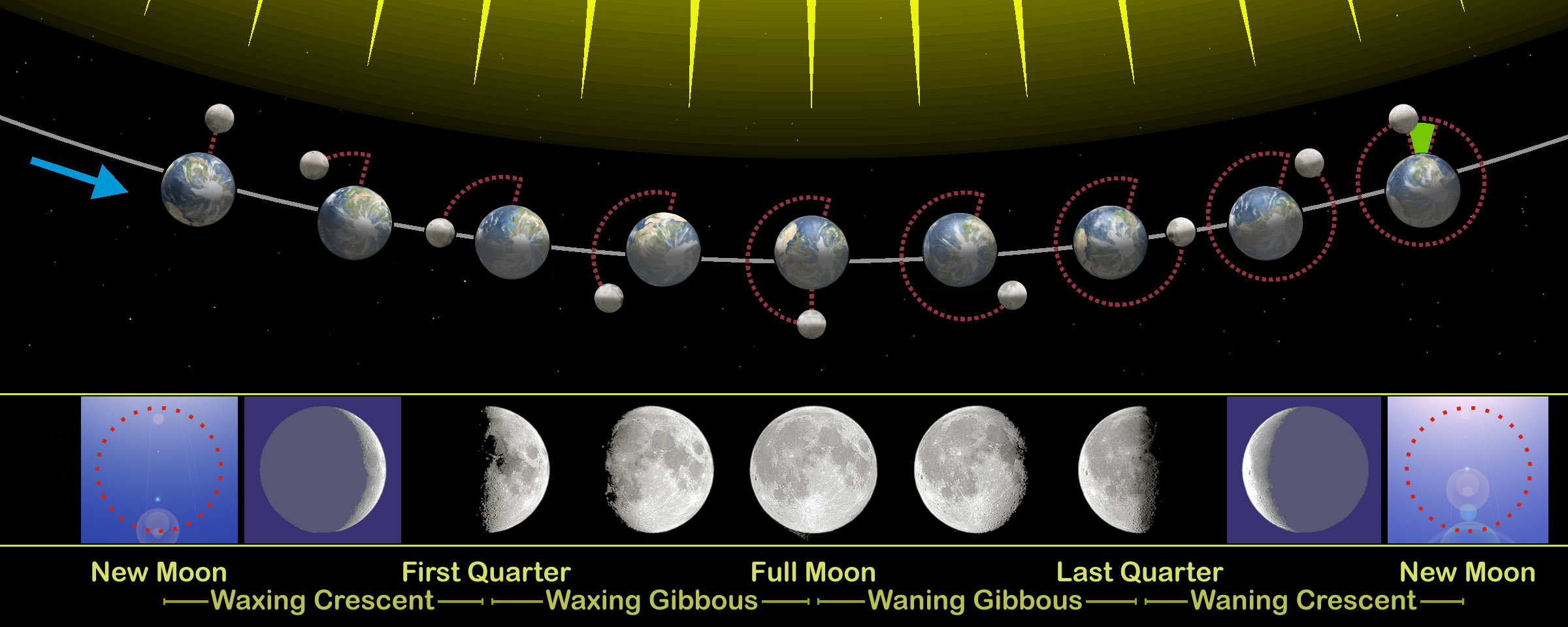 A geometric model showing how the Moon's phases depend entirely on the viewer's shifting perspective of the Moon's illuminated half as it orbits Earth.