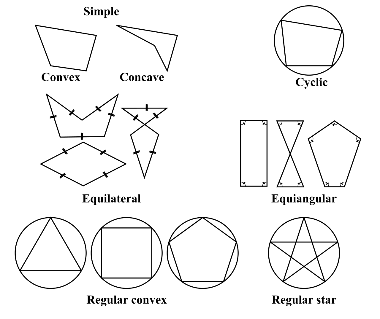 Various types of polygons, which are closed two-dimensional figures bounded by straight lines.