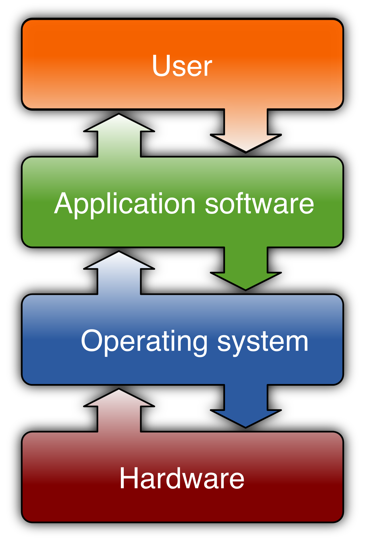 Diagram illustrating how the operating system serves as a foundational mediator, translating high-level application software logic into instructions that the physical computer hardware can execute.
