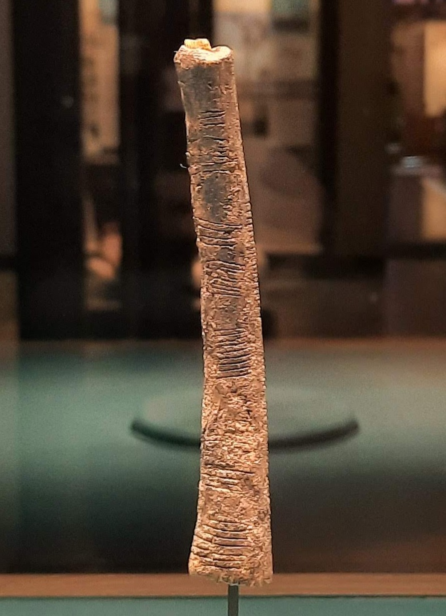 The 20,000-year-old Ishango bone is believed to be one of humanity's earliest tools for tracking basic counting numbers.