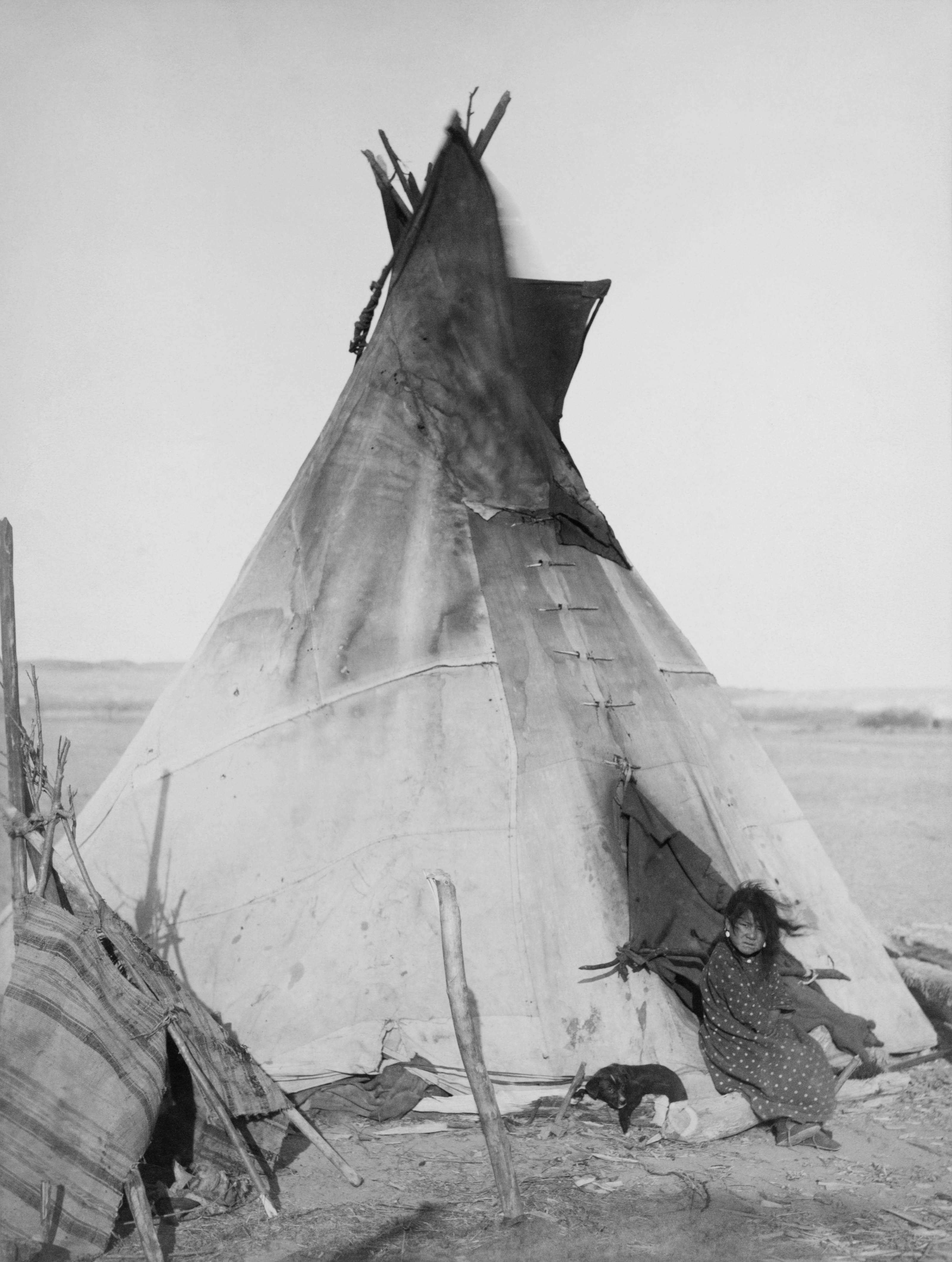 An Oglala Lakota tipi. The conical design was highly aerodynamic and portable, perfectly engineered for nomadic groups following migrating bison herds across the Great Plains.